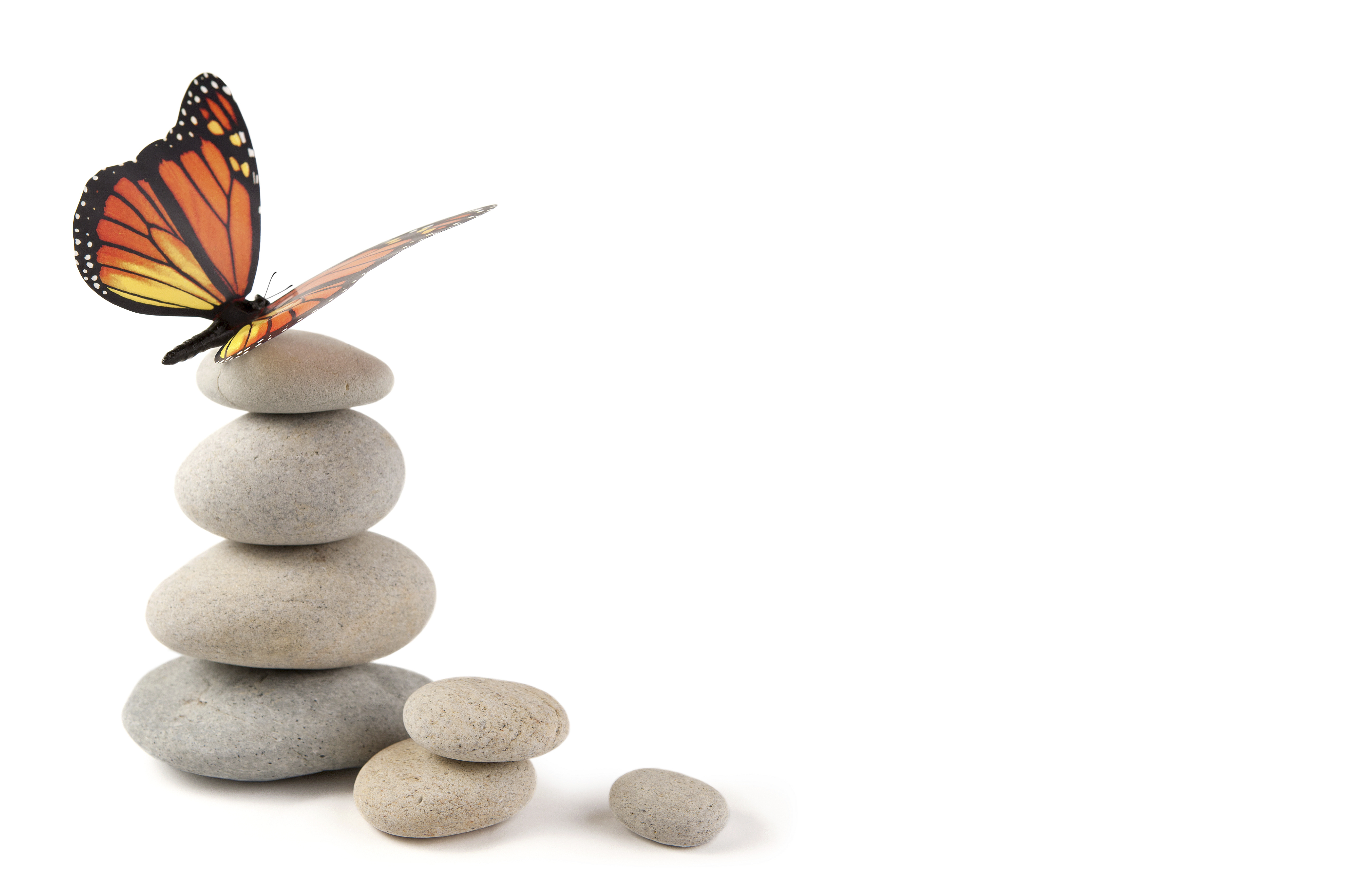Ninja Selling Adapt and Achieve: Serving Clients in the Evolving Market