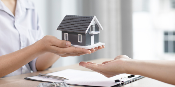 ARA FREE CE: Survey 101: Knowledge Is Power