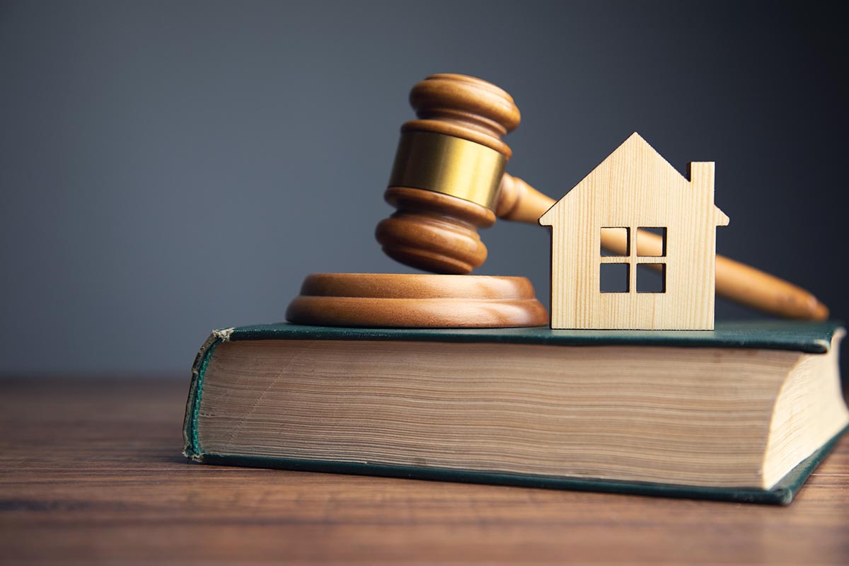 Georgia License Law